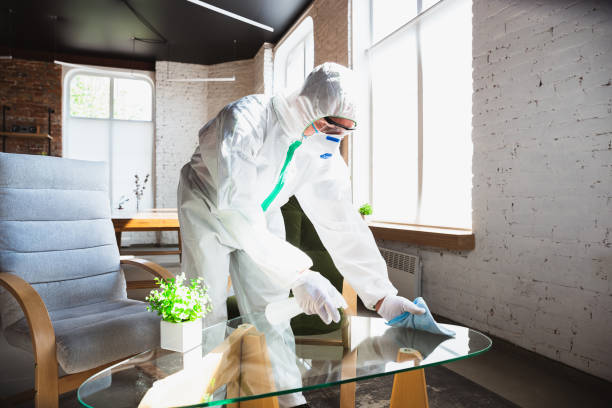 Why You Should Choose Our Mold Remediation Services in Lone Jack, MO