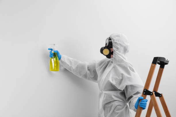 Best Mold Remediation for Healthcare Facilities  in Lone Jack, MO